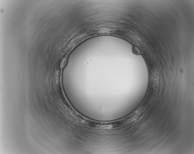 X0000052600554200507292125