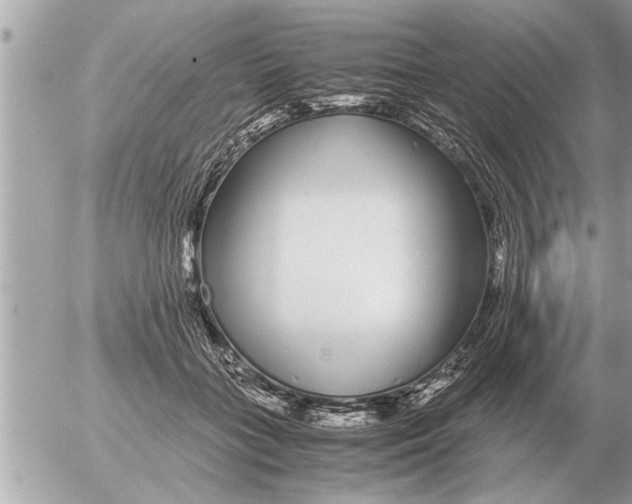 X0000052600555200507292126