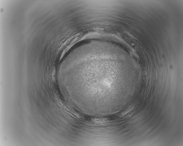 X0000052600556200507292126