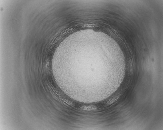 X0000052600557200507292126