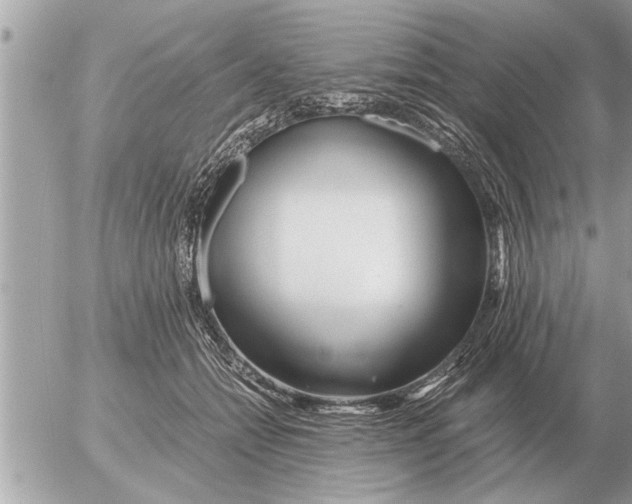 X0000052600558200507292126