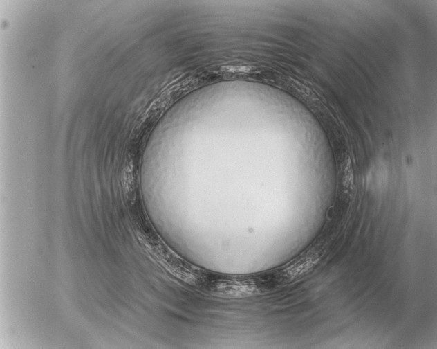 X0000052600559200507292126