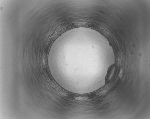 X0000052600561200507292126