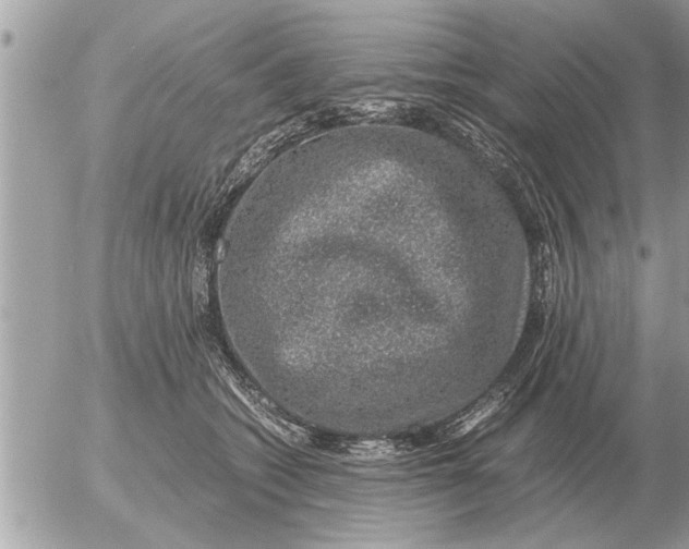 X0000052600562200507292126