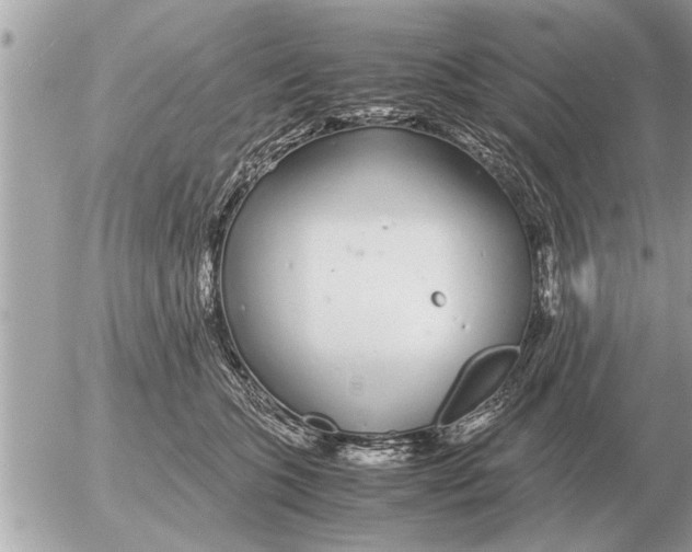 X0000052600563200507292126