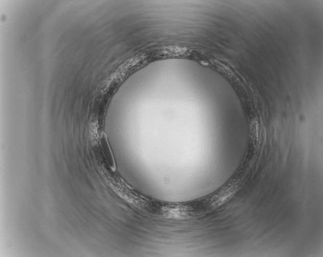 X0000052600564200507292126