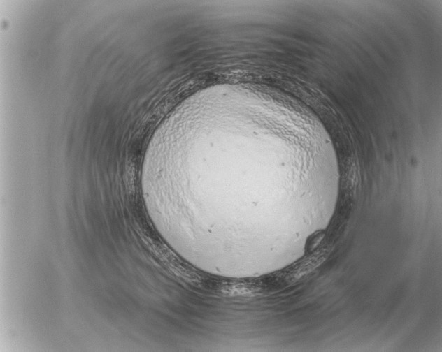 X0000052600565200507292126