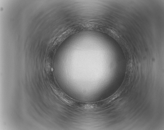 X0000052600566200507292126