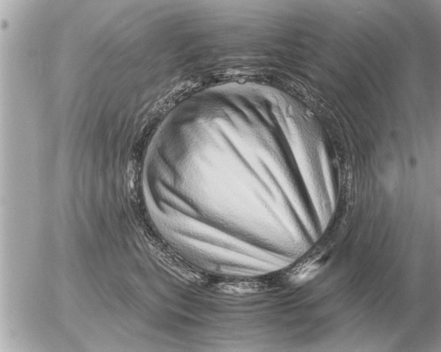 X0000052600567200507292126