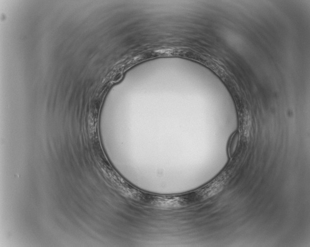 X0000052600569200507292126