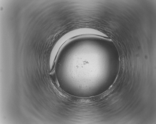 X0000052600570200507292126