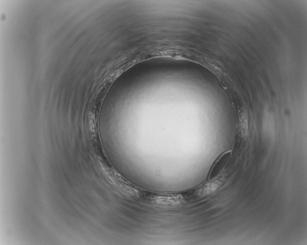 X0000052600571200507292126