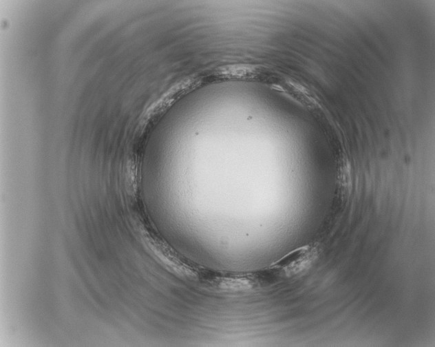 X0000052600572200507292126