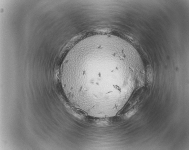 X0000052600574200507292126