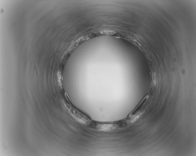 X0000052600575200507292126