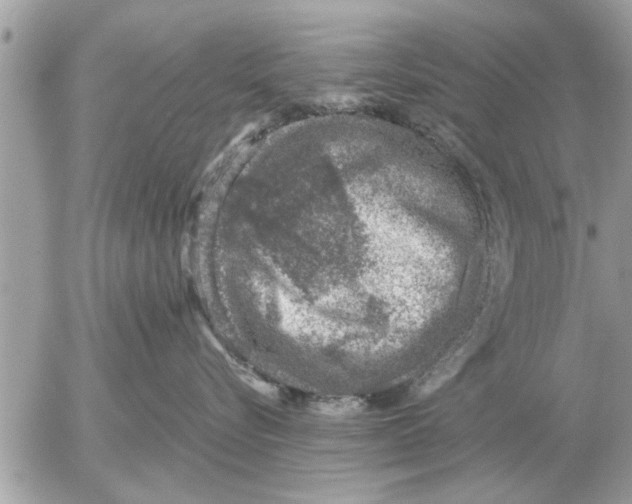 X0000052600576200507292126