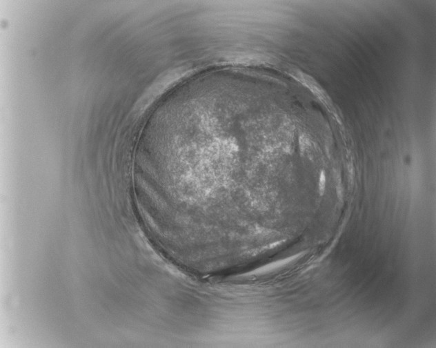 X0000052600577200507292125