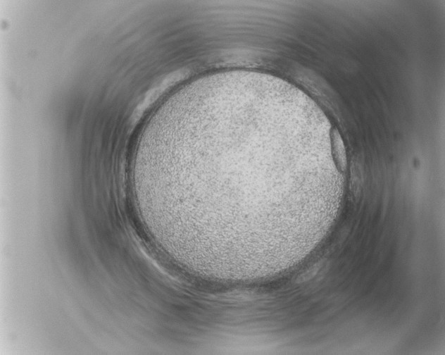 X0000052600578200507292125