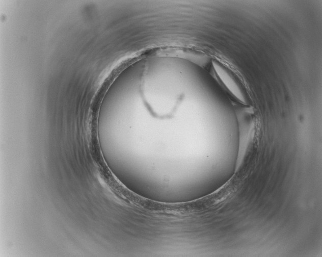 X0000052600580200507292125