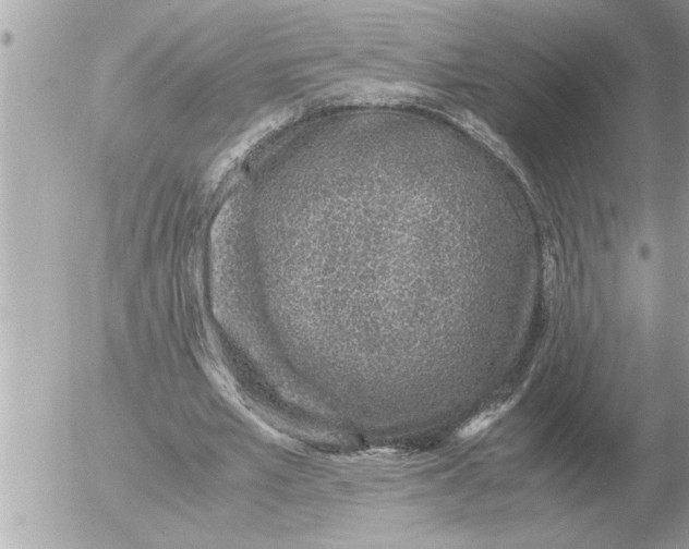 X0000052600581200507292125