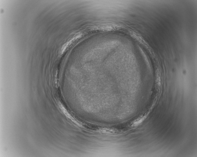 X0000052600585200507292125