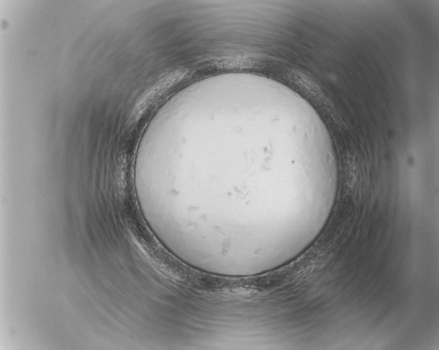 X0000052600586200507292125