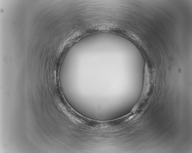 X0000052600589200507292125