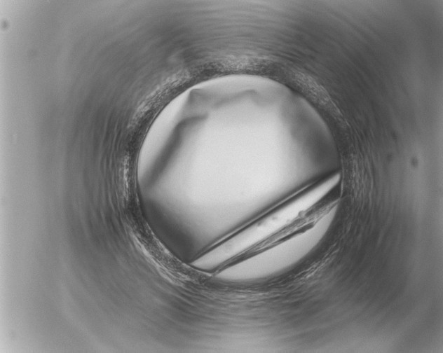 X0000052600590200507292125