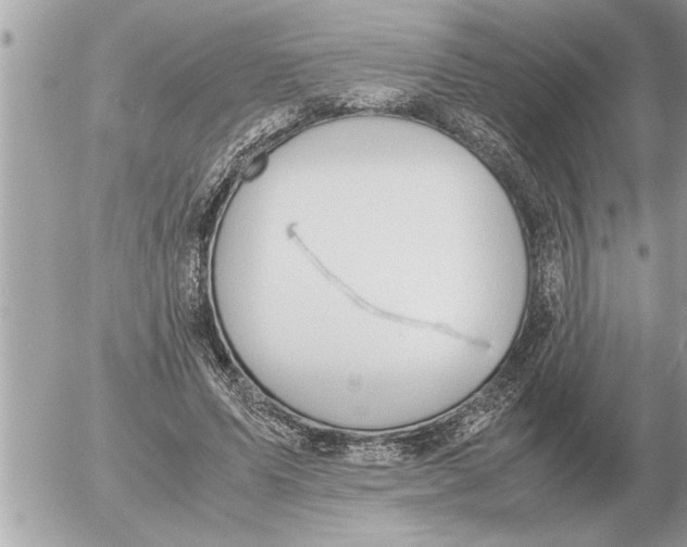 X0000052600591200507292125