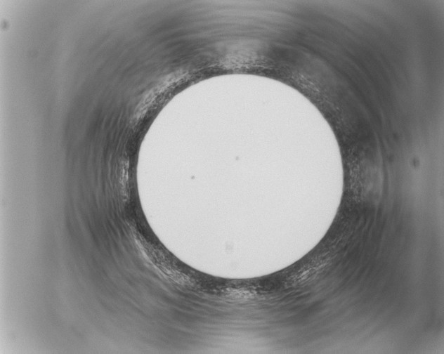 X0000052600592200507292125