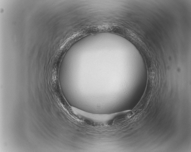 X0000052600593200507292125