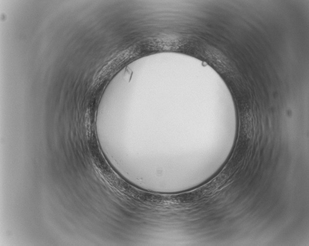 X0000052600594200507292125