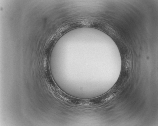 X0000052600595200507292125