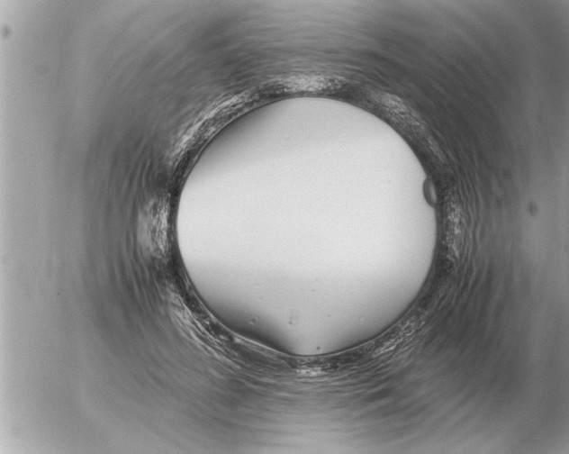 X0000052600596200507292125