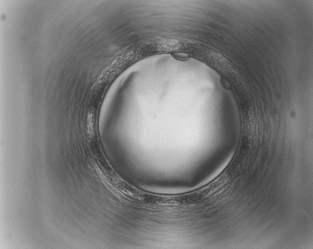 X0000052600598200507292125