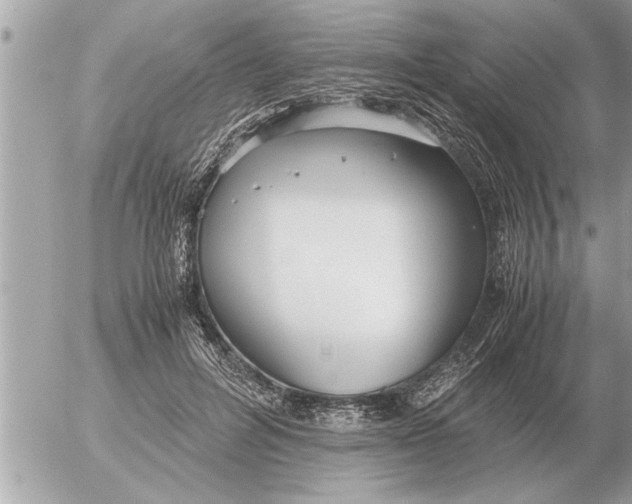 X0000052600600200507292125