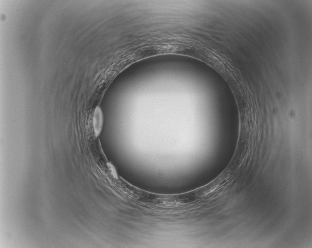 X0000052600601200507292125