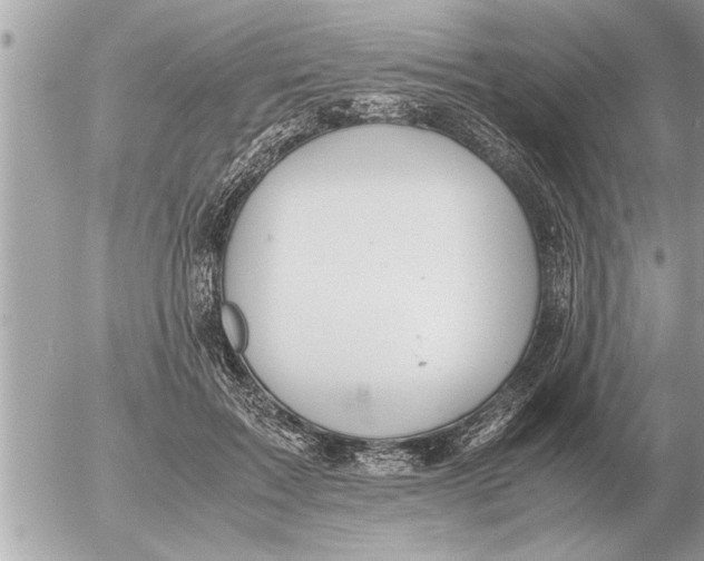 X0000052600603200507292125