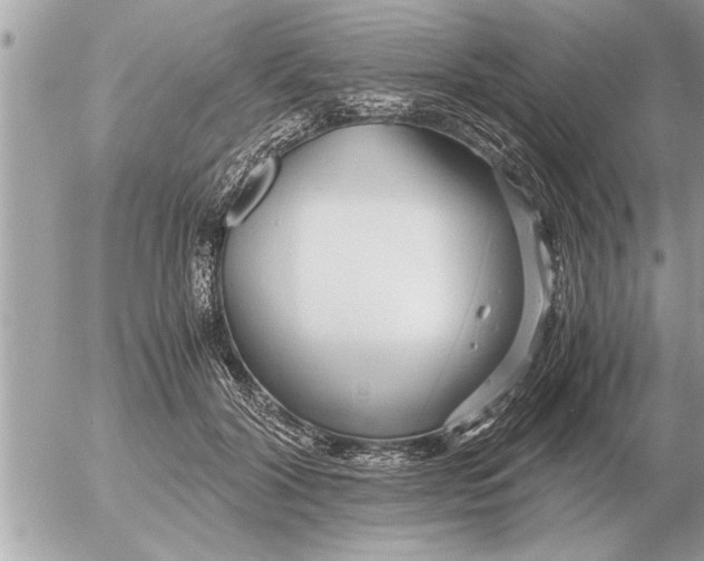 X0000052600604200507292125