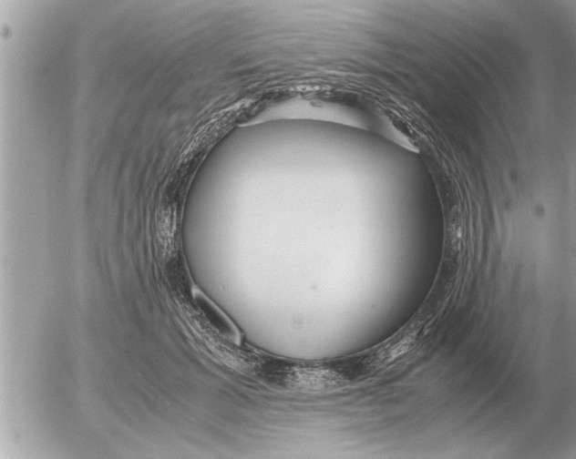 X0000052600605200507292125