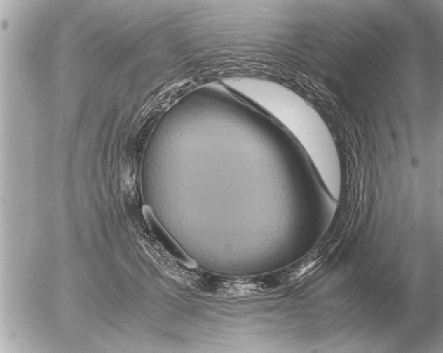 X0000052600607200507292125