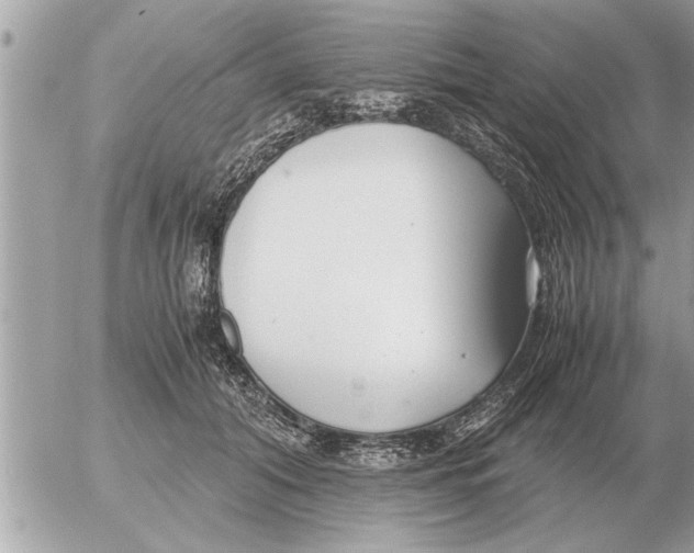 X0000052600608200507292125