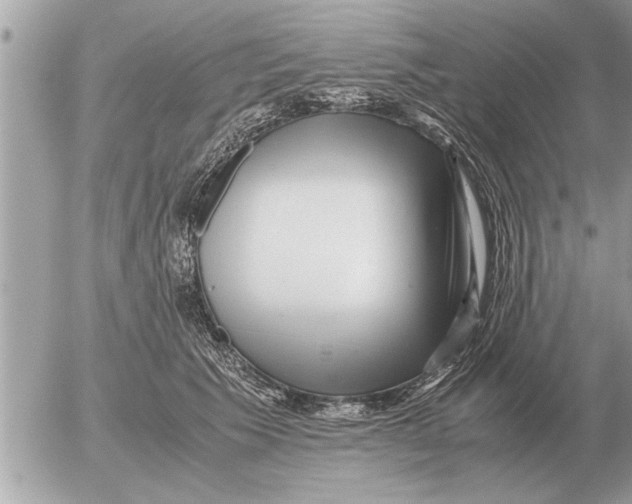 X0000052600609200507292125