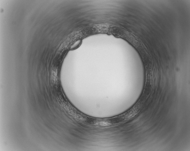 X0000052600610200507292124