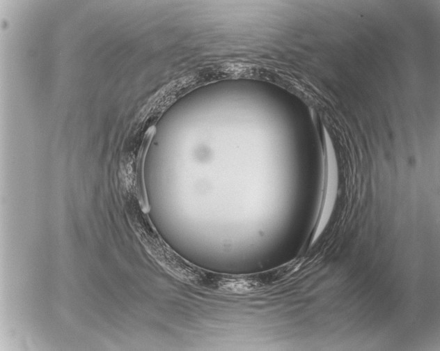 X0000052600611200507292124