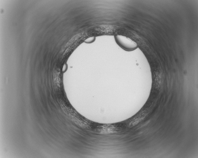 X0000052600612200507292124