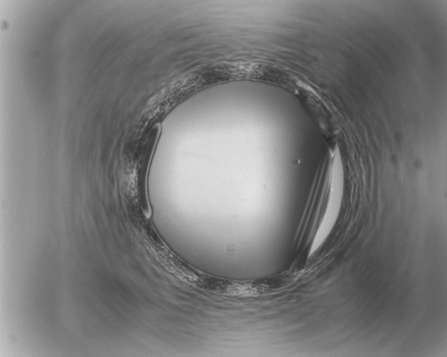 X0000052600613200507292124