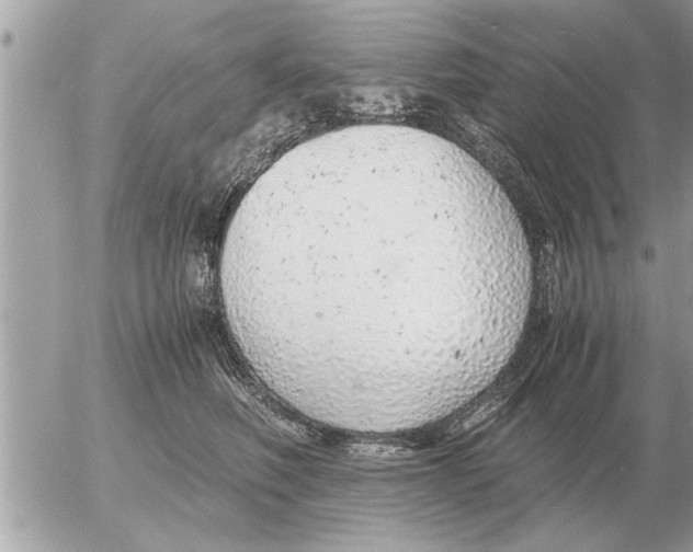 X0000052600614200507292124