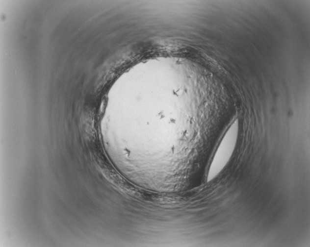 X0000052600615200507292124