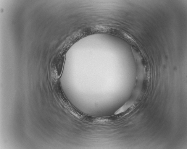 X0000052600617200507292124